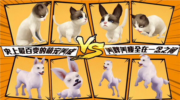 寵物天團
