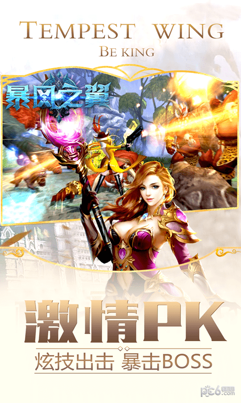 暴風之翼
