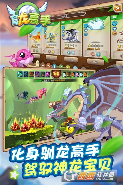 育龍高手
