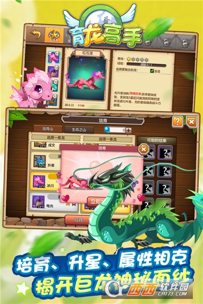 育龍高手
