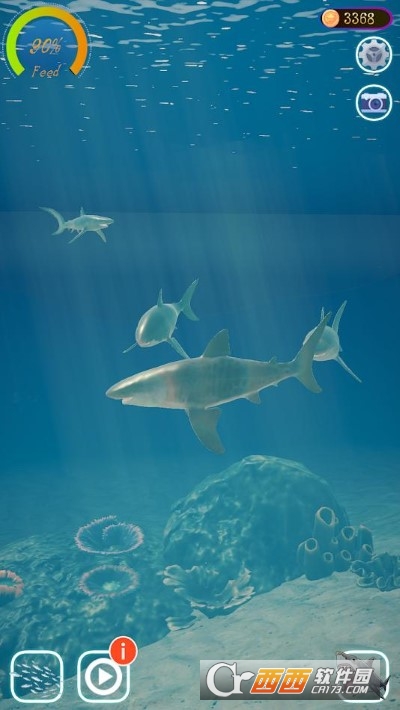 鯊魚海洋游戲