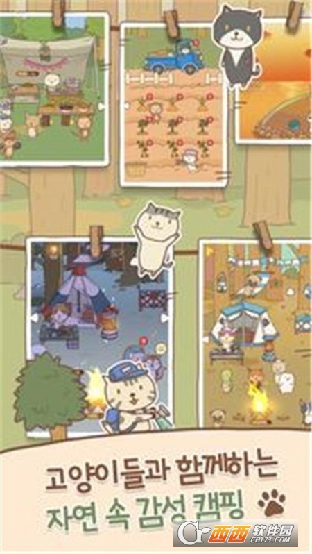 貓貓露營（Cat Camping）