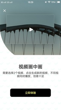 小豬視頻免費下載