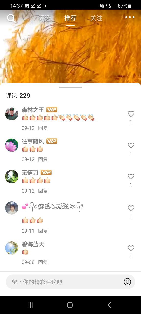 音畫
