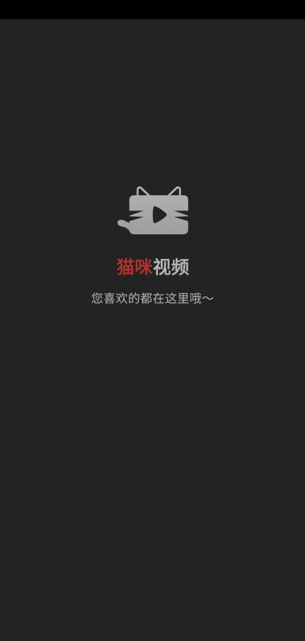 貓咪視頻