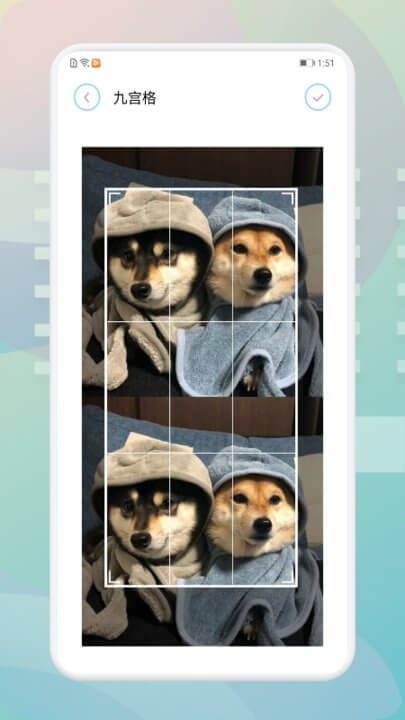 拼立得拼圖