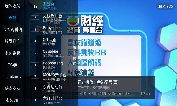 自由空殼