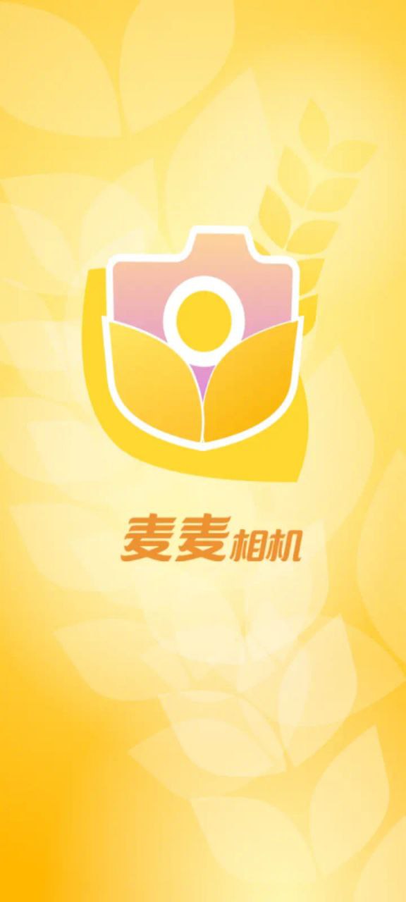 麥麥相機