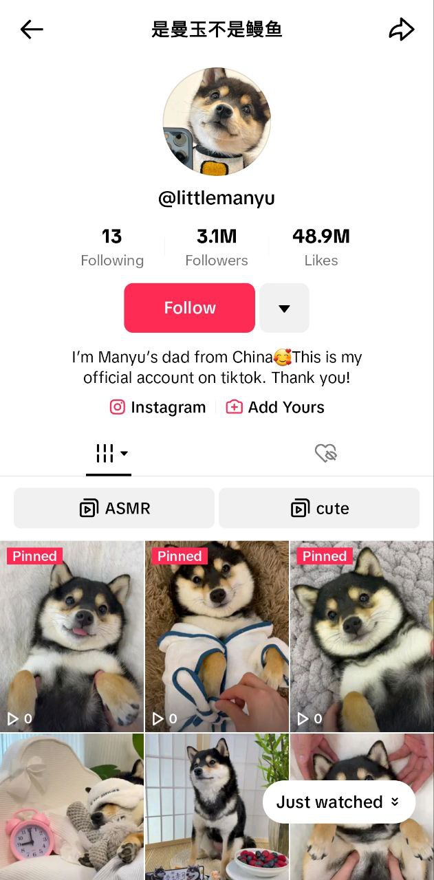 國際版tiktok
