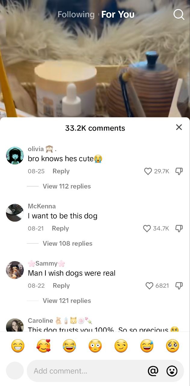 國際版tiktok