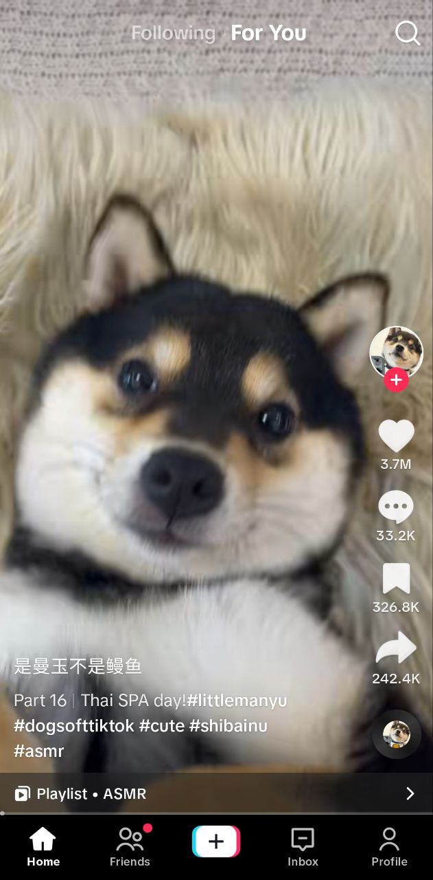 國際版tiktok