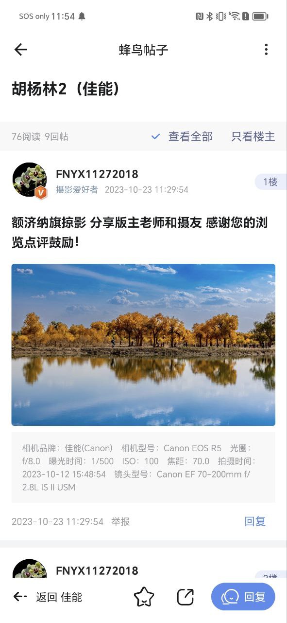 蜂鳥攝影