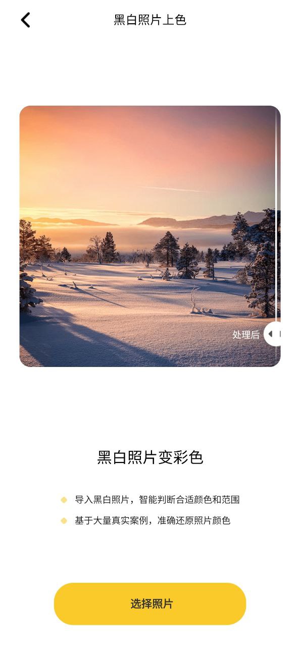元氣ai相機