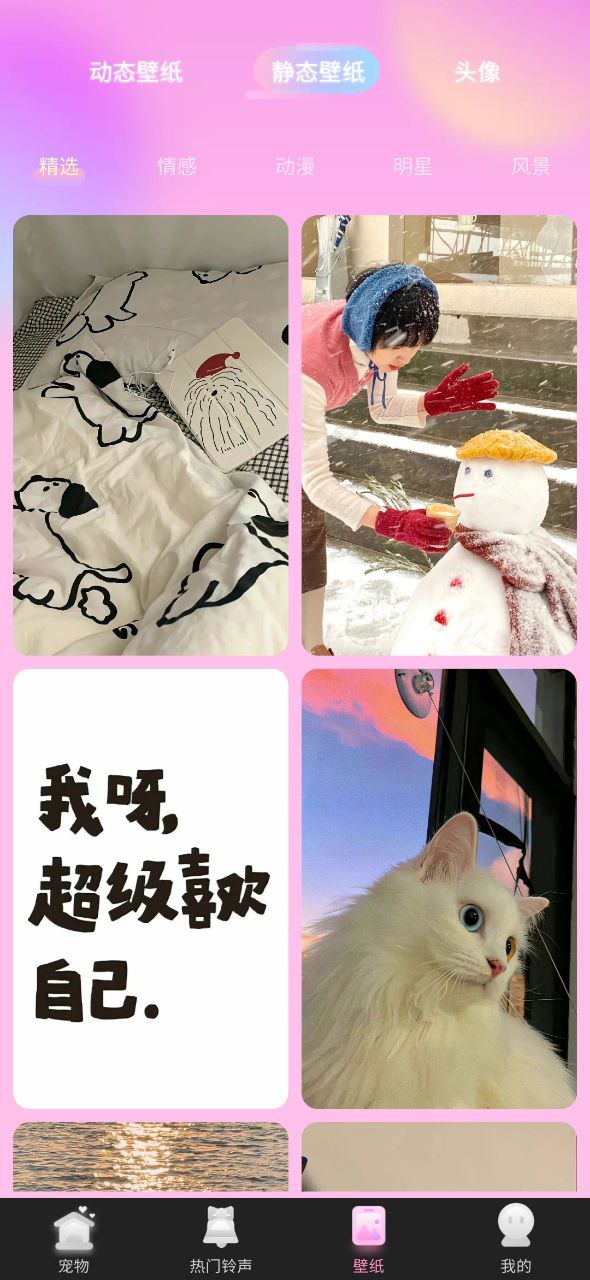 哈屏寵物