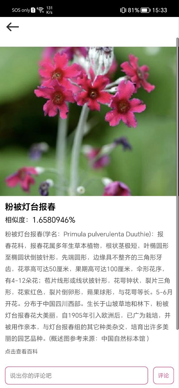 拍照識花神器