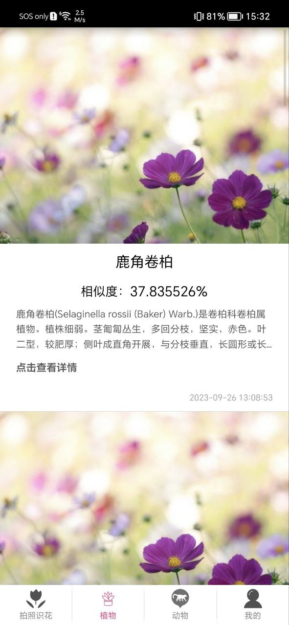 拍照識花神器