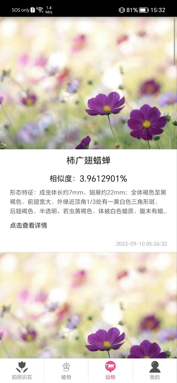 拍照識花神器