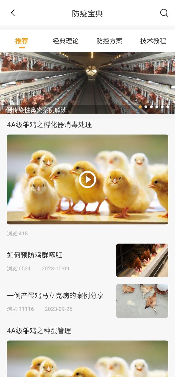 智慧蛋雞