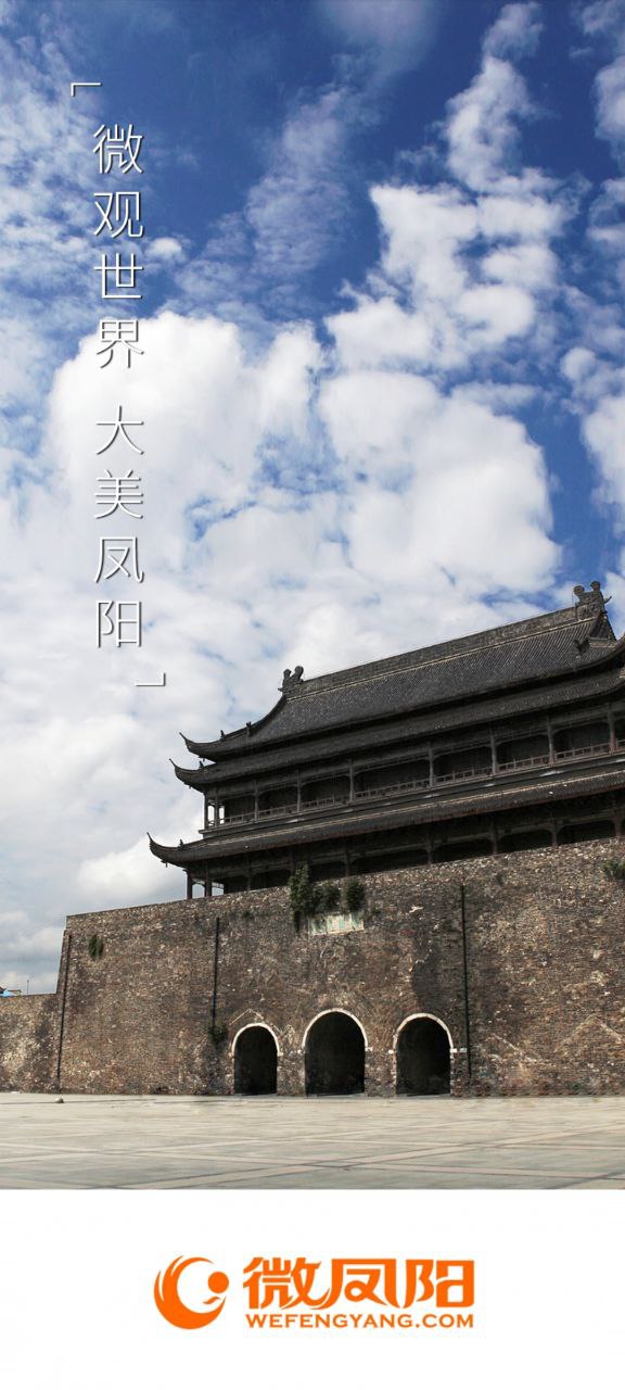 微鳳陽(yáng)