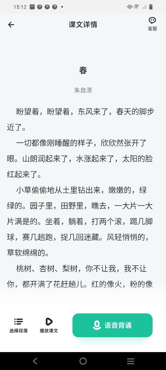 百曉松