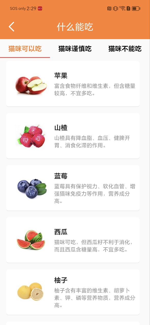 貓語翻譯寶