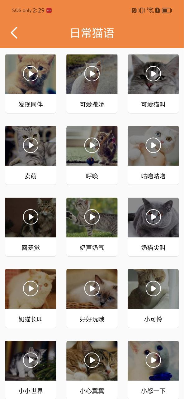 貓語翻譯寶