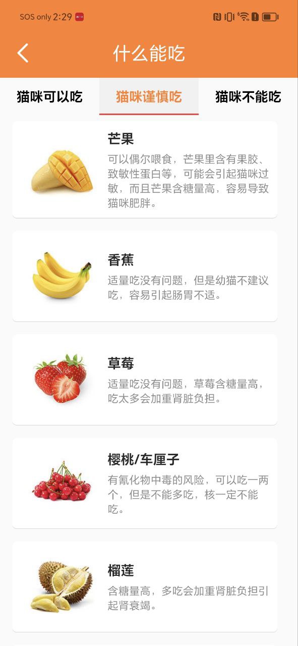 貓語翻譯寶