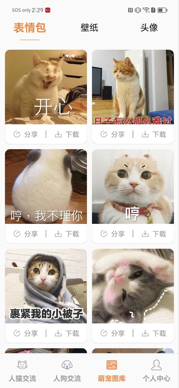 貓語翻譯寶