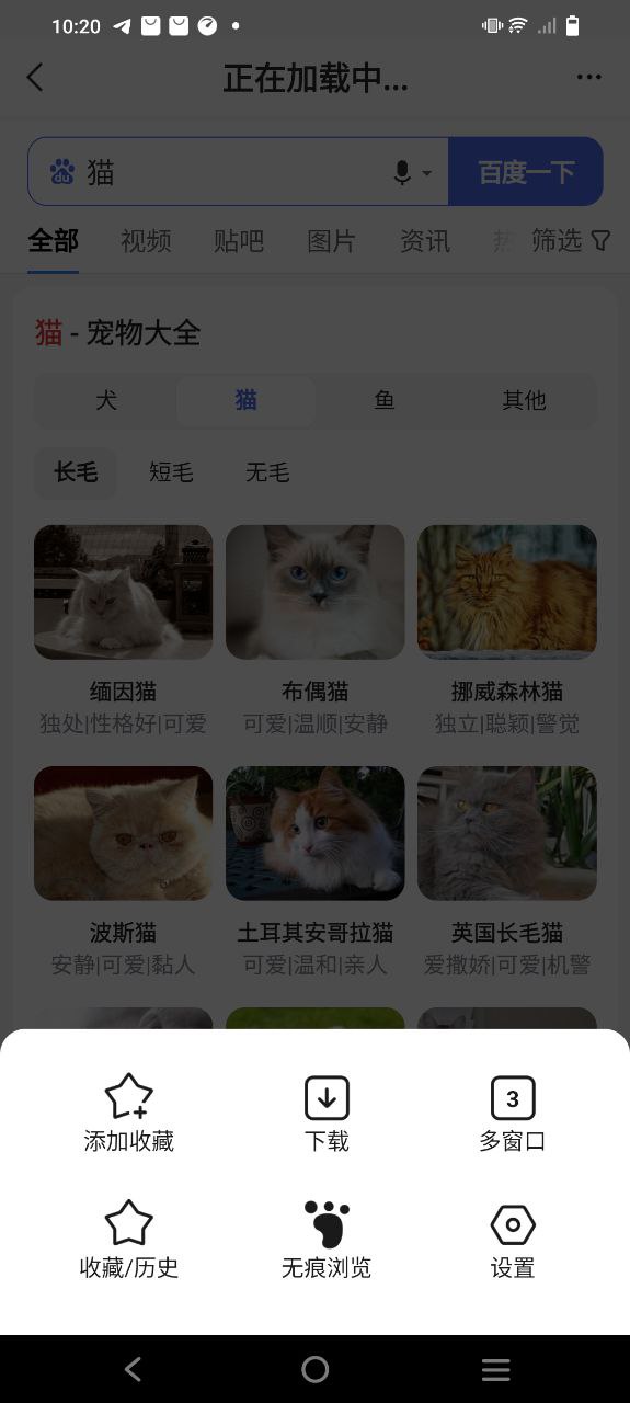 瘋看瀏覽器