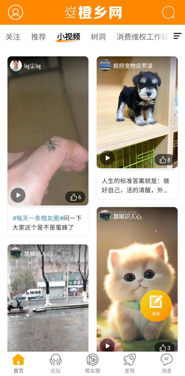 江安橙鄉網