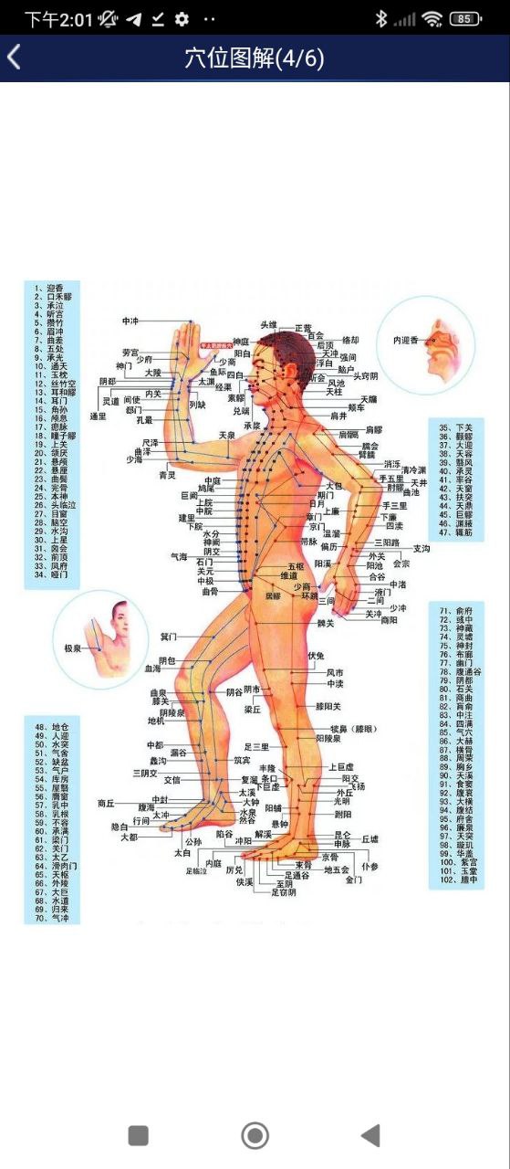 3D人體解剖圖譜
