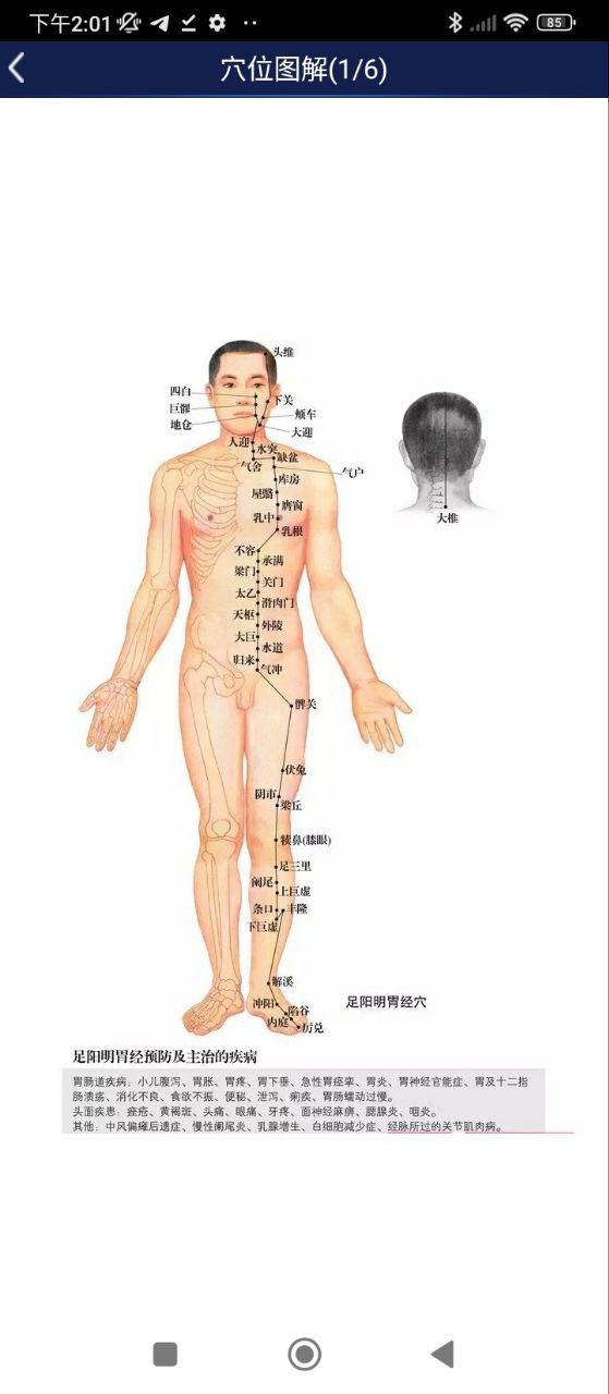3D人體解剖圖譜