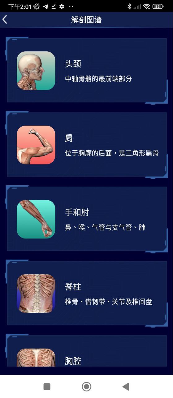 3D人體解剖圖譜