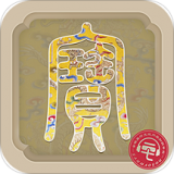 每日一寶
