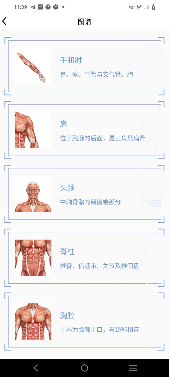 人體3D解剖圖譜
