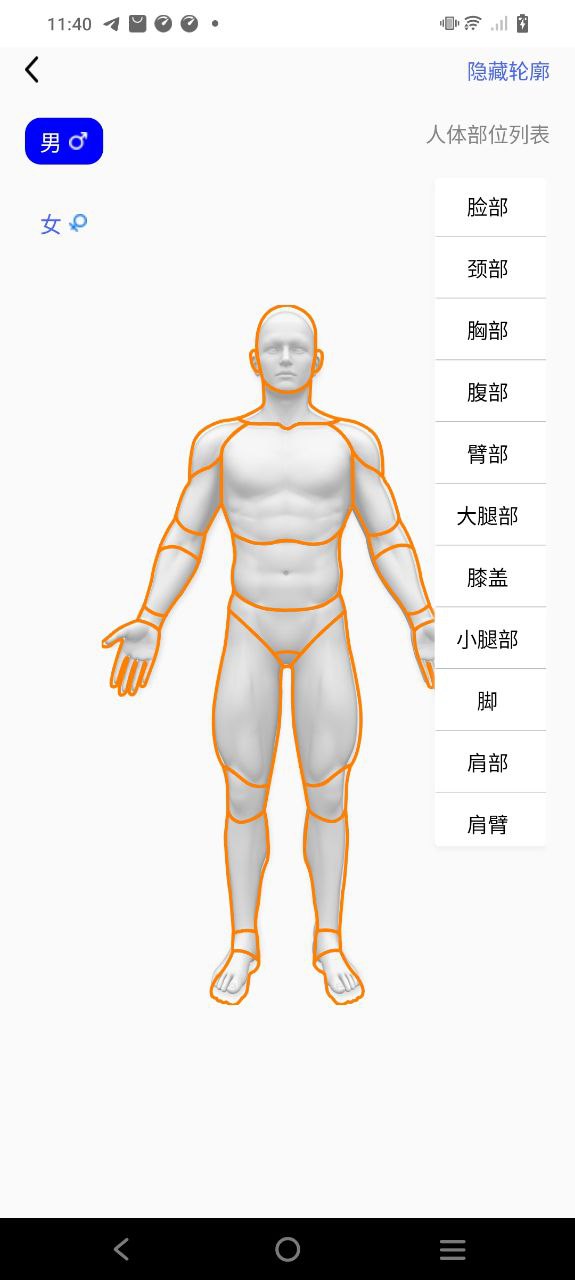 人體3D解剖圖譜