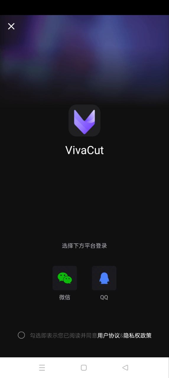 VivaCut