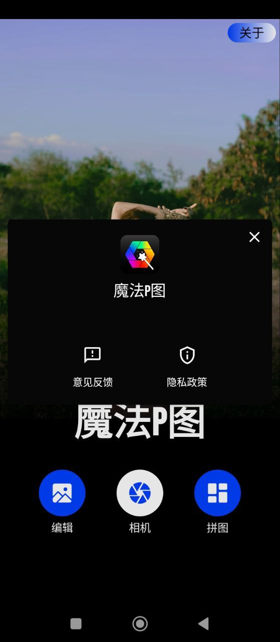 魔法P圖