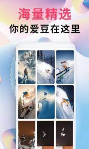 intolive精靈壁紙