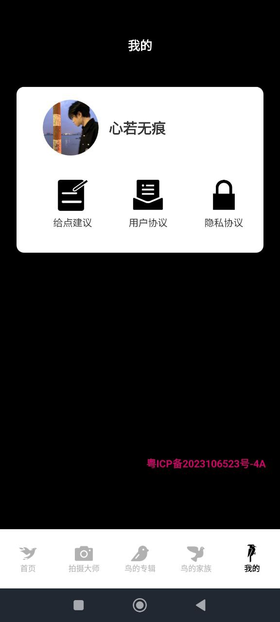 小鳥(niǎo)壁紙