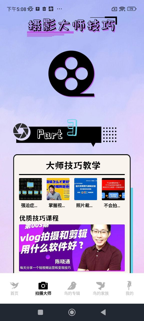 小鳥(niǎo)壁紙