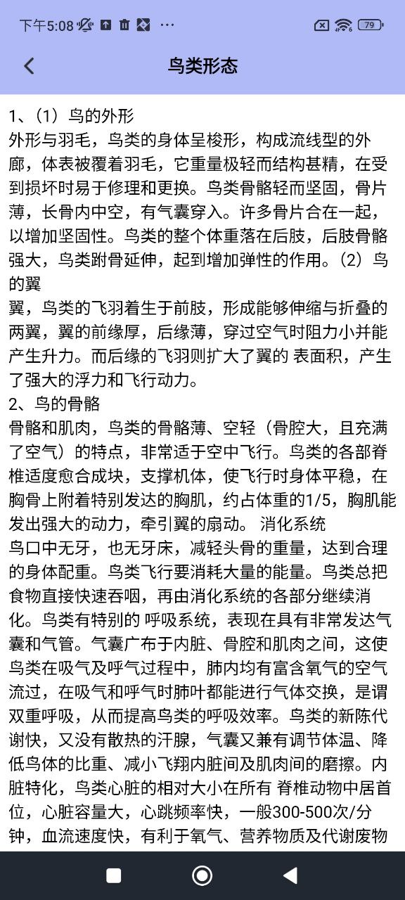 小鳥(niǎo)壁紙