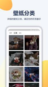 皮卡充電壁紙
