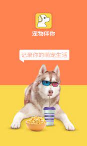 寵物伴你