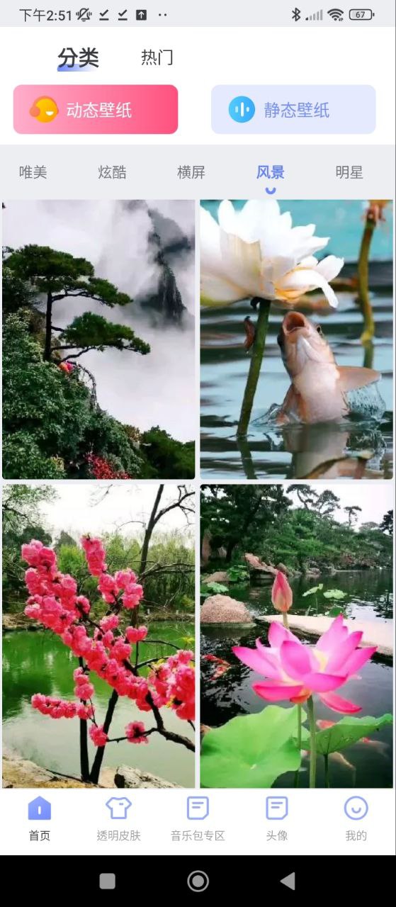 透明壁紙文件包