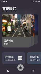 葵花睡眠