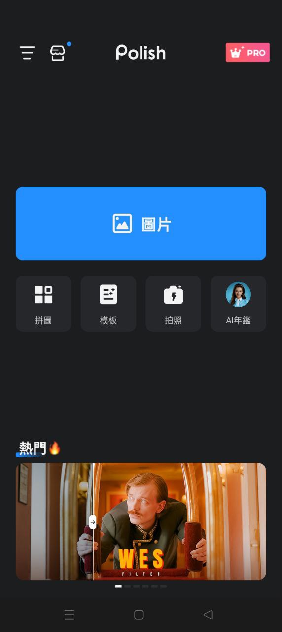 專業照片編輯器