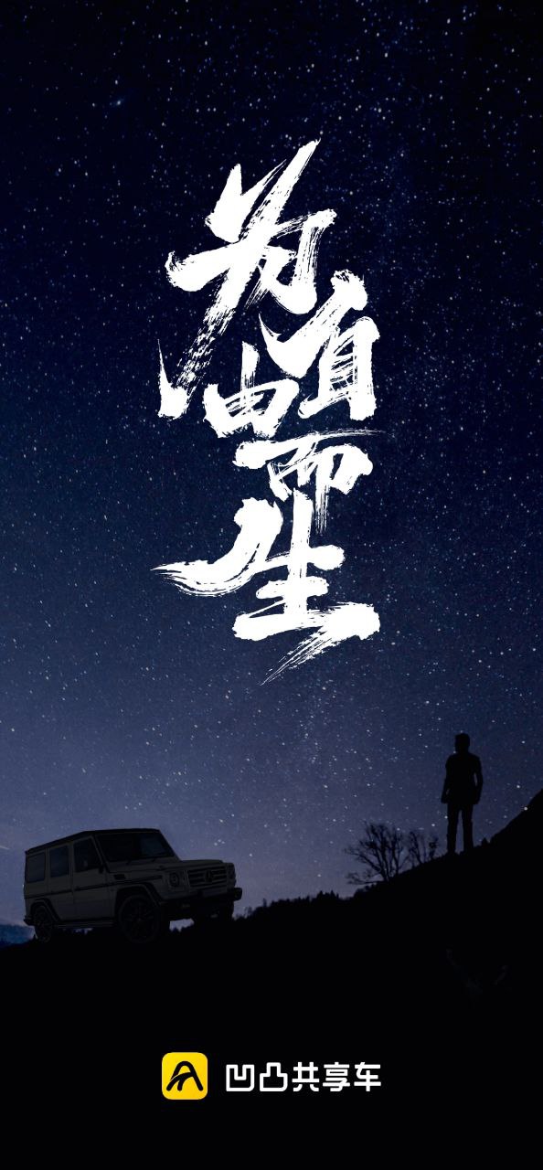 凹凸共享車