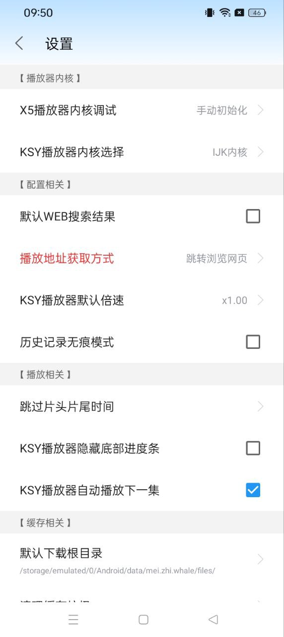 鯨看看