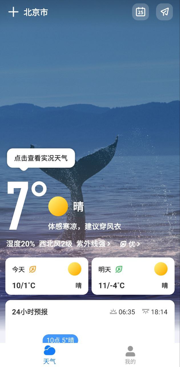 微鯉天氣